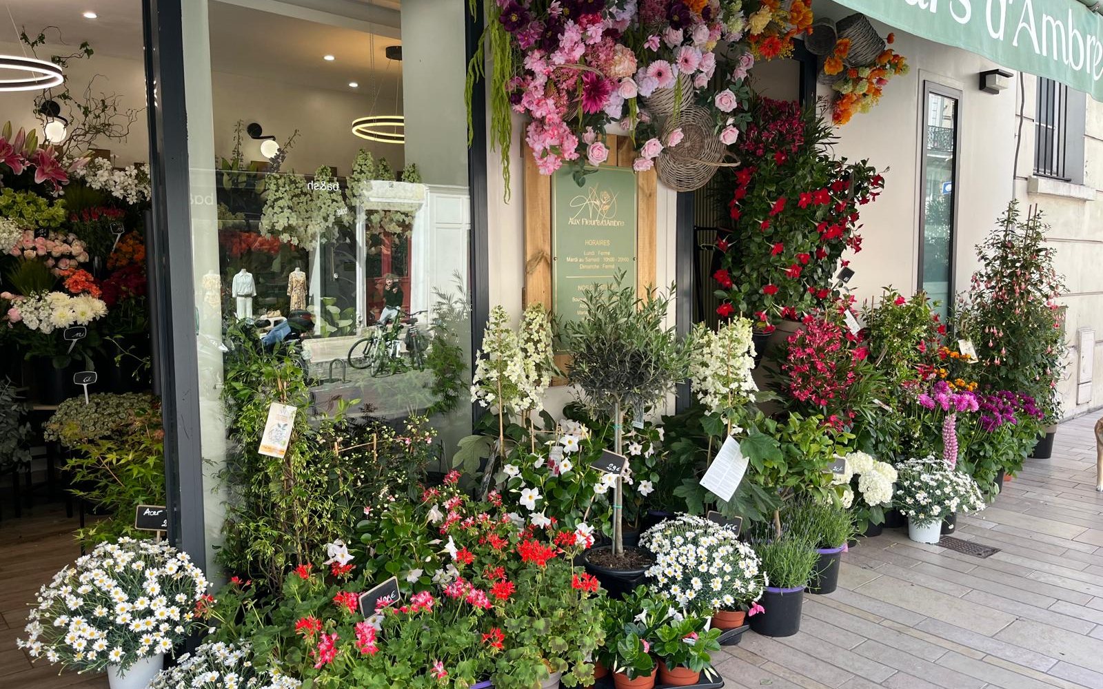 Les plantes et fleurs devant la boutique
