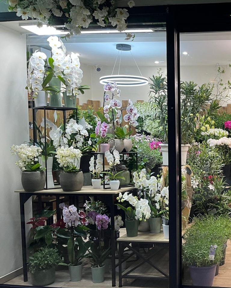 Composition d'orchidées